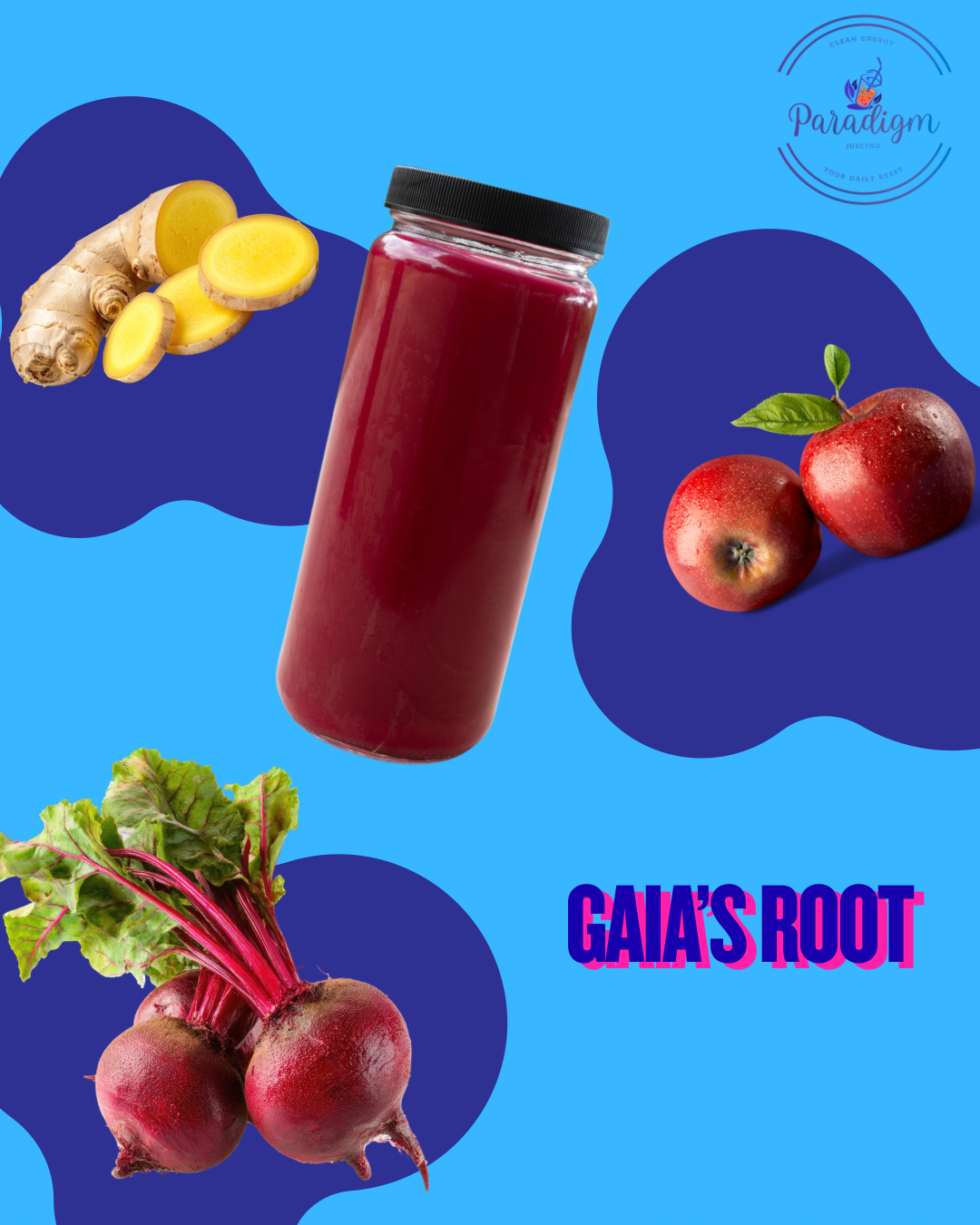 Gaia's Root - 12 oz.